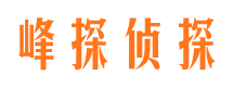 大新婚姻外遇取证